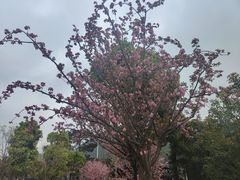 -贵阳市花溪国家城市湿地公园