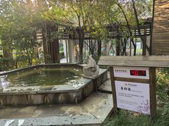 -张家港金凤凰度假村温泉