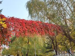 -辽宁大学(崇山校区)