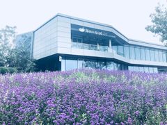 -猫的天空之城概念书店(北戴河蔚蓝海岸店)