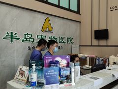 -半岛宠物医院24小时(科华中路店)