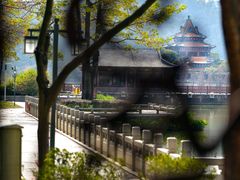 -顺峰山公园
