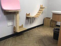 -联合动物医院(光谷诊疗中心)