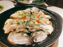 -点都德·毕德寮
