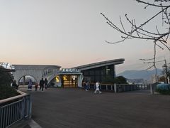 -金鸡山公园