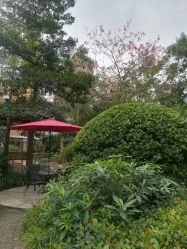 -宝生月子中心(独栋园林·福田店)