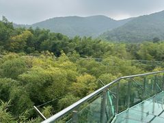 -陶祖圣境风景区