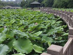 -金山公园