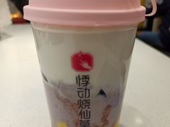 厚芋泥牛乳烧仙草-悸动烧仙草(包河宁国路店)