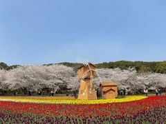 -苏州上方山国家森林公园