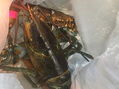-盒马鲜生(宝地店)