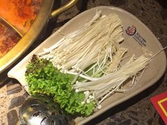 -小龙坎老火锅