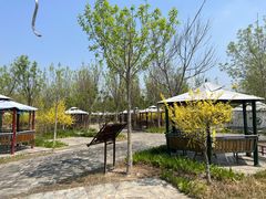 -西青郊野公园