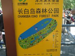 -长白岛森林公园