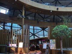 -上海滴水湖皇冠假日酒店