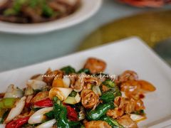 -苏启渔港(云南北路店)