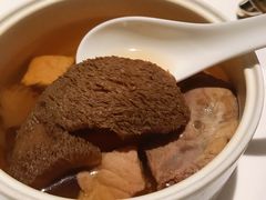 猴头菇炖麻鸭汤-广舟(千禧店)