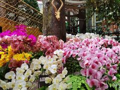 -正佳雨林生态植物园