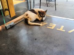 -喜茶(佛山顺德容桂天佑城店)