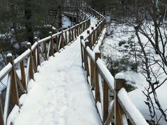 -青峰峡国家森林公园