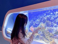 -芜湖新华联大白鲸海洋公园