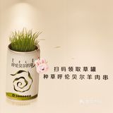这家烤串真香️我在苏州馋哭了