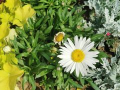 -郑州方特梦幻王国