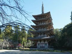 -醍醐寺