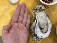 -蚝专家(北滘店)