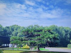 -同里国家湿地公园