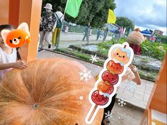 -长春农业博览园