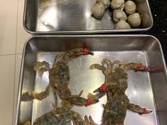 -鲜鲜·鲅鱼圈海鲜(于洪店)