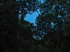 -香山公园