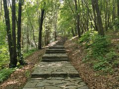 -帽儿山风景区