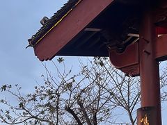 -鸣鹤古镇