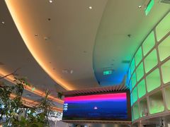 -桂满陇·蟹黄小笼汤包(清河万象店)