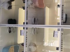 -小猫来了·猫舍(红山六九七九店)