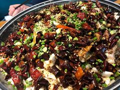 黑鱼花-三猫黑鱼花(南大店)