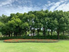 -上海滨江森林公园