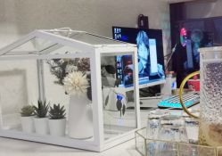 -L•野生眉半永久纹眉纹绣