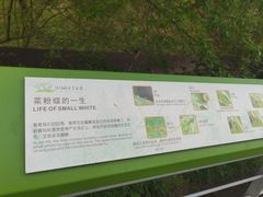 -西湖风景区-江洋畈生态公园