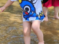 -武汉紫薇都市田园