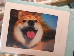 -猫的天空之城概念书店(苏州诚品店)