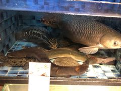 -官也街澳门火锅(新源里店)