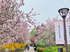 -海棠花溪(元大都城垣遗址公园)