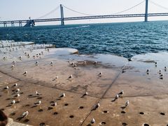 -星海广场