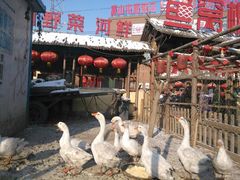 -鱼窝棚柴火铁锅炖(富山屯店)