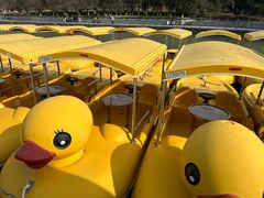 -云龙湖旅游景区