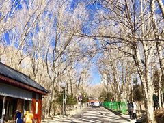 -五台山风景名胜区