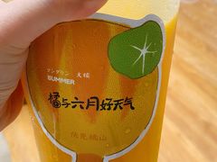 -伏小桃(明瓦廊店)